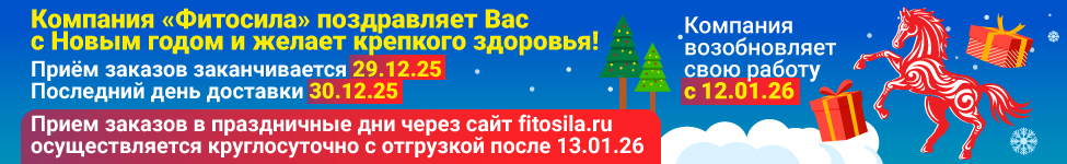 График работы в Новогодние праздники