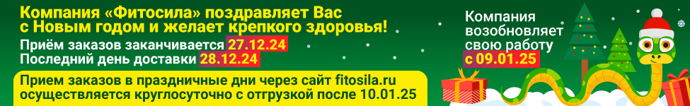 График работы в Новогодние праздники