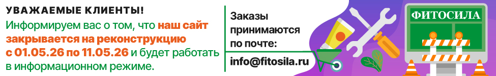 Реконструкция сайта