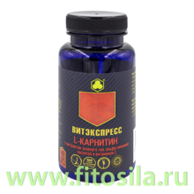 L-КАРНИТИН + С+ альфа - липтевая кислота + экстракт зеленого чая №60 таб. массой 500 мг ВИТЭКСПРЕСС