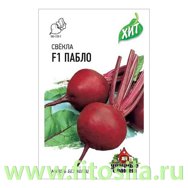 
Свекла Пабло F1 1,0 г (Голландия) ХИТ х3 (семена для проращивания)