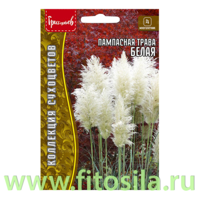Пампасная трава Белая (Кортадерия) 0,01г. (семена для проращивания)