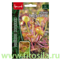 Росянка Смесь Сортов 5шт. (Хищник) (семена для проращивания)