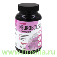 Ежовик гребенчатый "NEUROBOOST" 120 кап 500мг "КумАлтай"